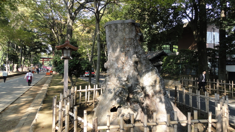 img0031.jpg