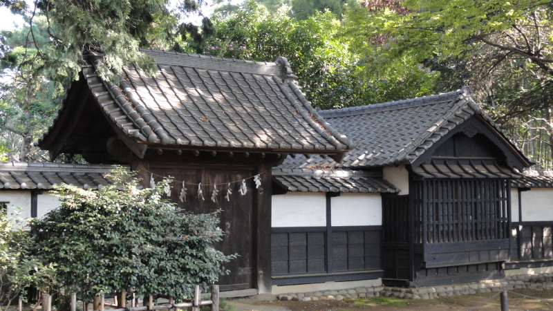 img0033.jpg