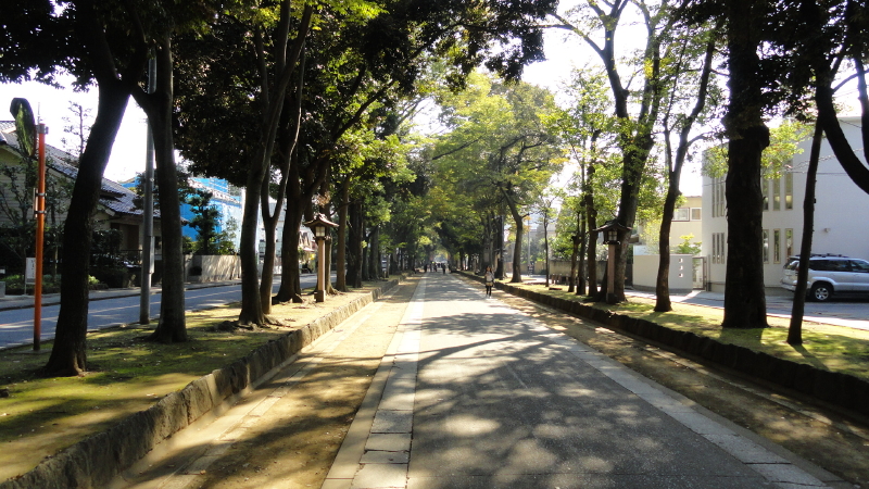 img0034.jpg