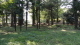 img0000.jpg