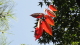img0004.jpg