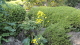img0012.jpg
