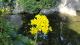 img0014.jpg