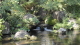 img0015.jpg