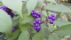 img0017.jpg