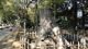 img0031.jpg