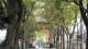 img0035.jpg