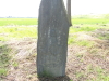 img0007.jpg