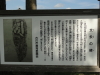 img0009.jpg