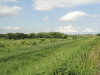 img0023.jpg