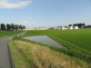 img0027.jpg