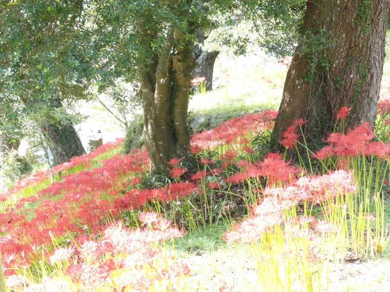img0037.jpg