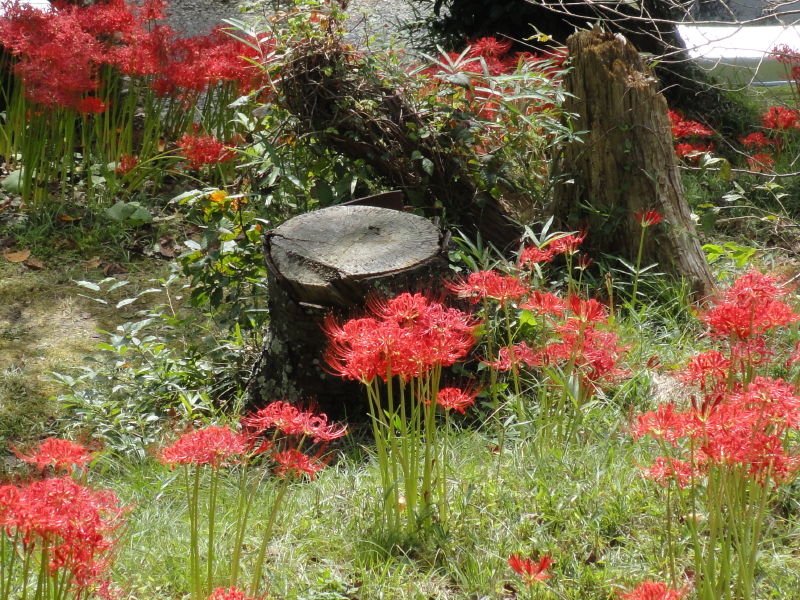 img0046.jpg