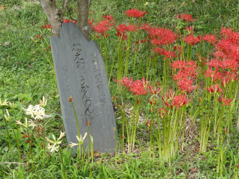 img0056.jpg