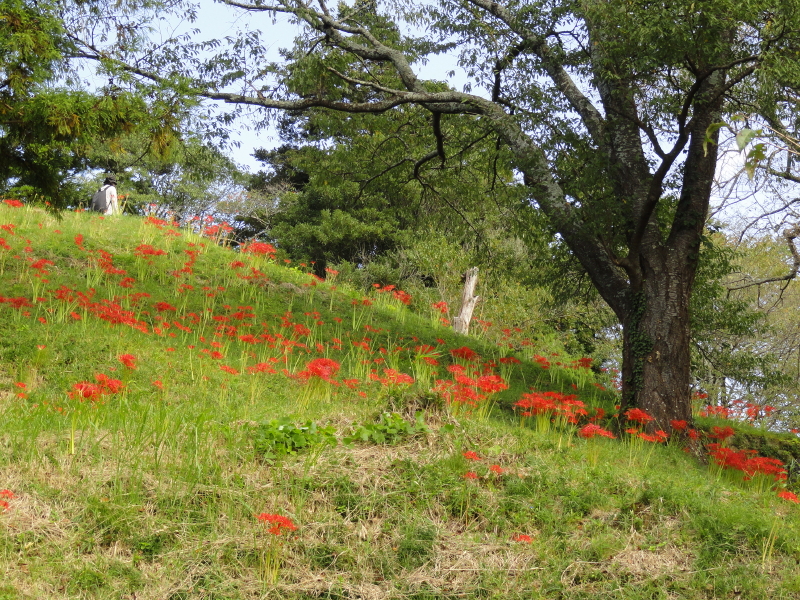 img0070.jpg