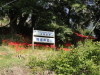 img0002.jpg