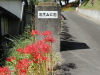 img0003.jpg