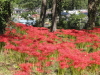 img0032.jpg