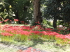 img0033.jpg