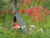 img0055.jpg
