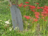 img0056.jpg