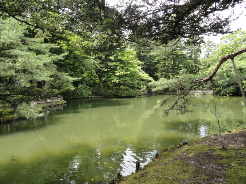 img0018.jpg