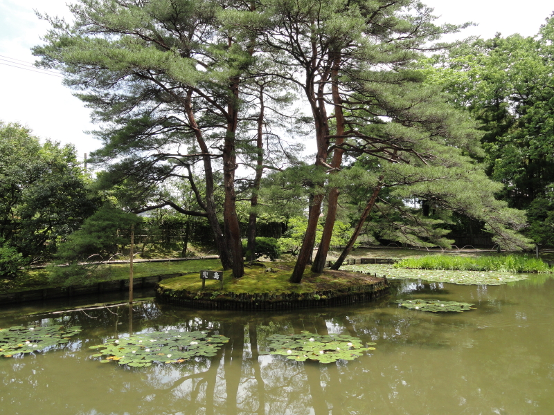 img0024.jpg