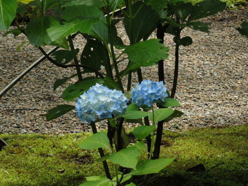 img0061.jpg