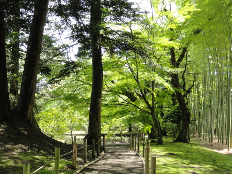 img0067.jpg