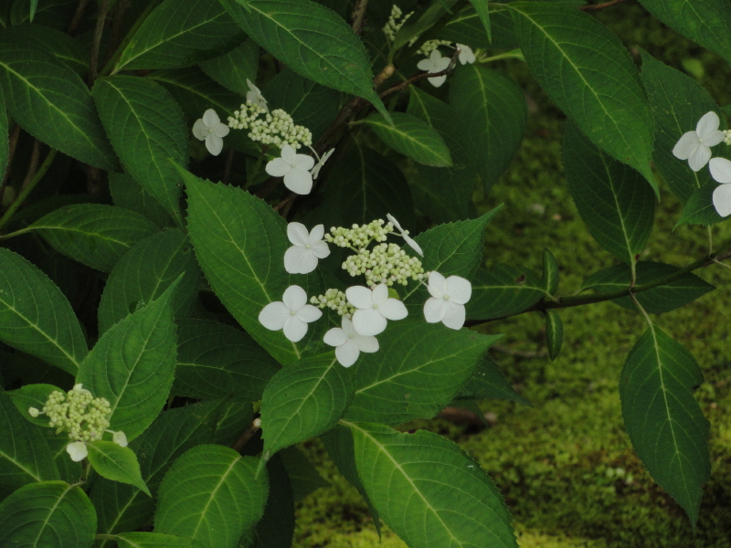 img0103.jpg