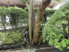 img0004.jpg