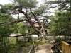 img0017.jpg