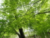 img0042.jpg