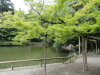 img0048.jpg