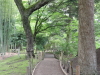 img0057.jpg