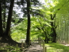 img0067.jpg