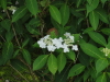 img0102.jpg