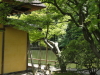 img0106.jpg