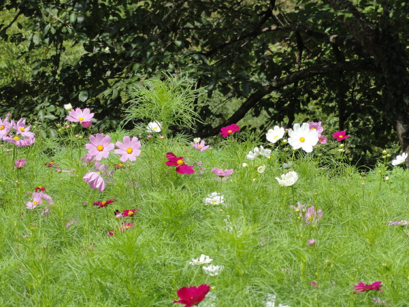 img0007.jpg