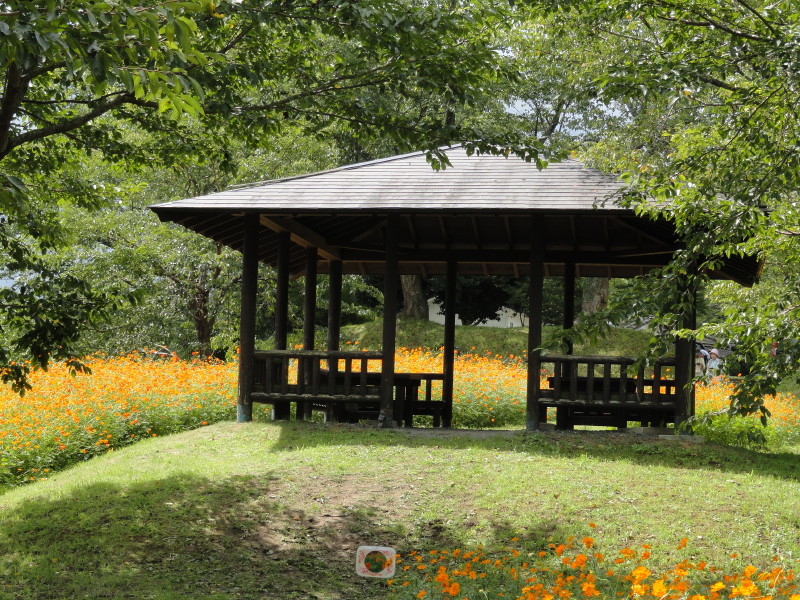 img0020.jpg