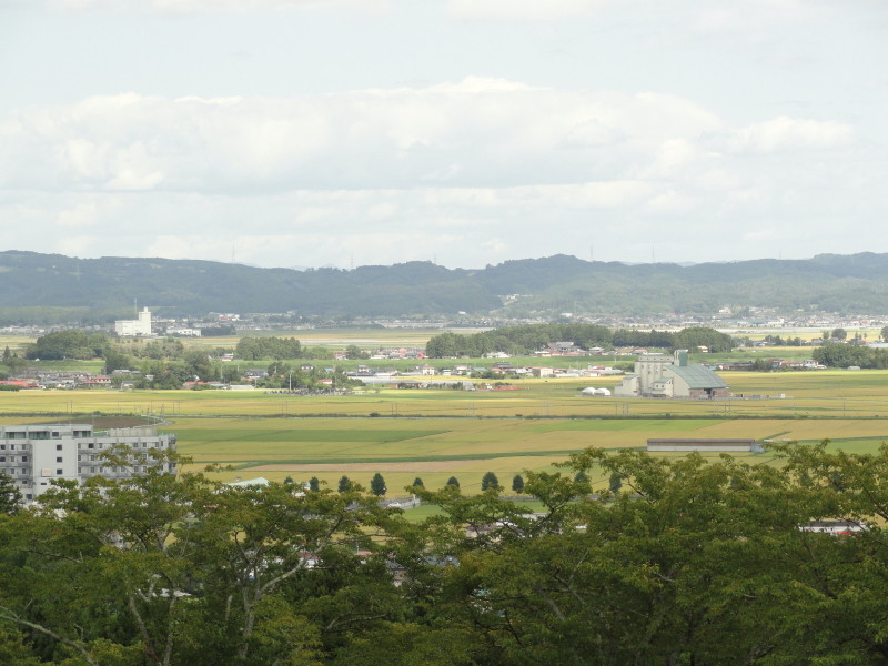 img0080.jpg
