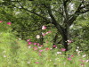 img0011.jpg