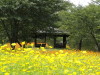 img0022.jpg