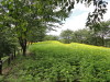 img0026.jpg