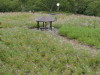 img0077.jpg