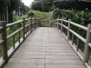 img0085.jpg