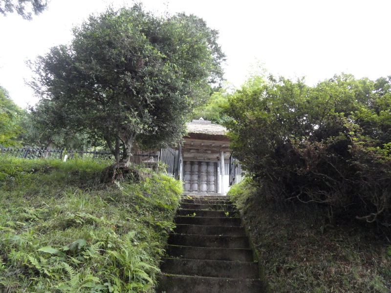 img0014.jpg