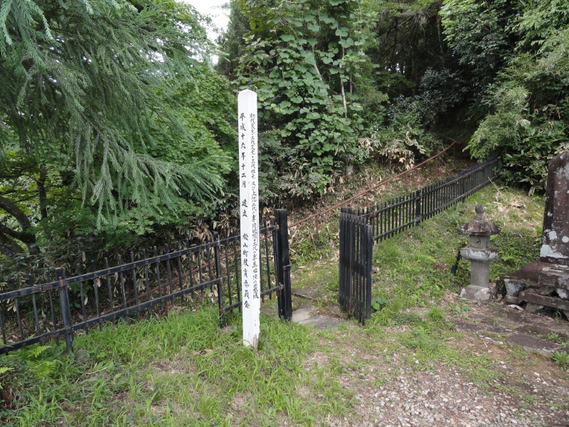 img0020.jpg