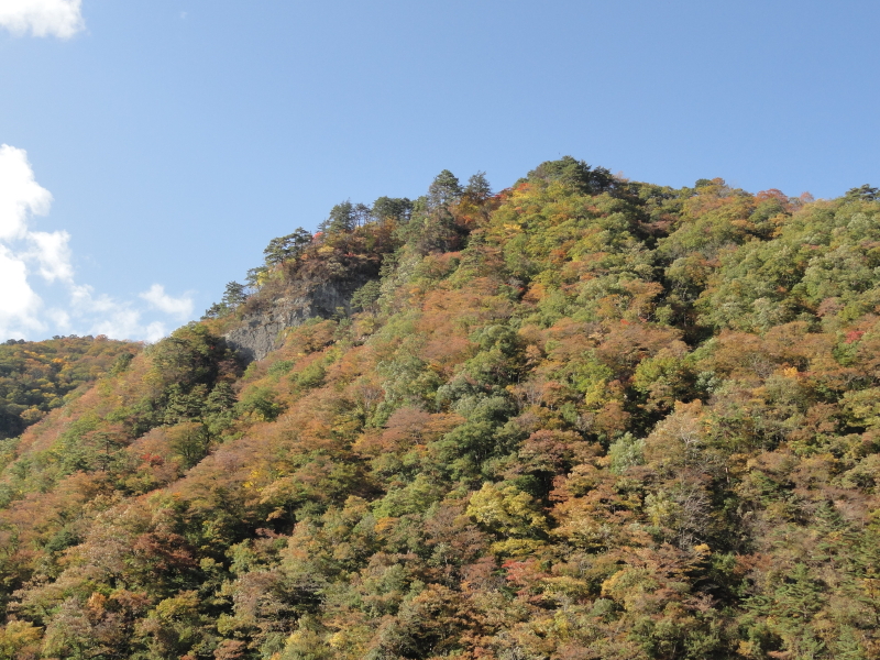 img0032.jpg