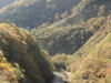 img0006.jpg